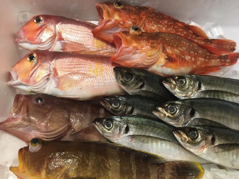 磯料理 やまおか