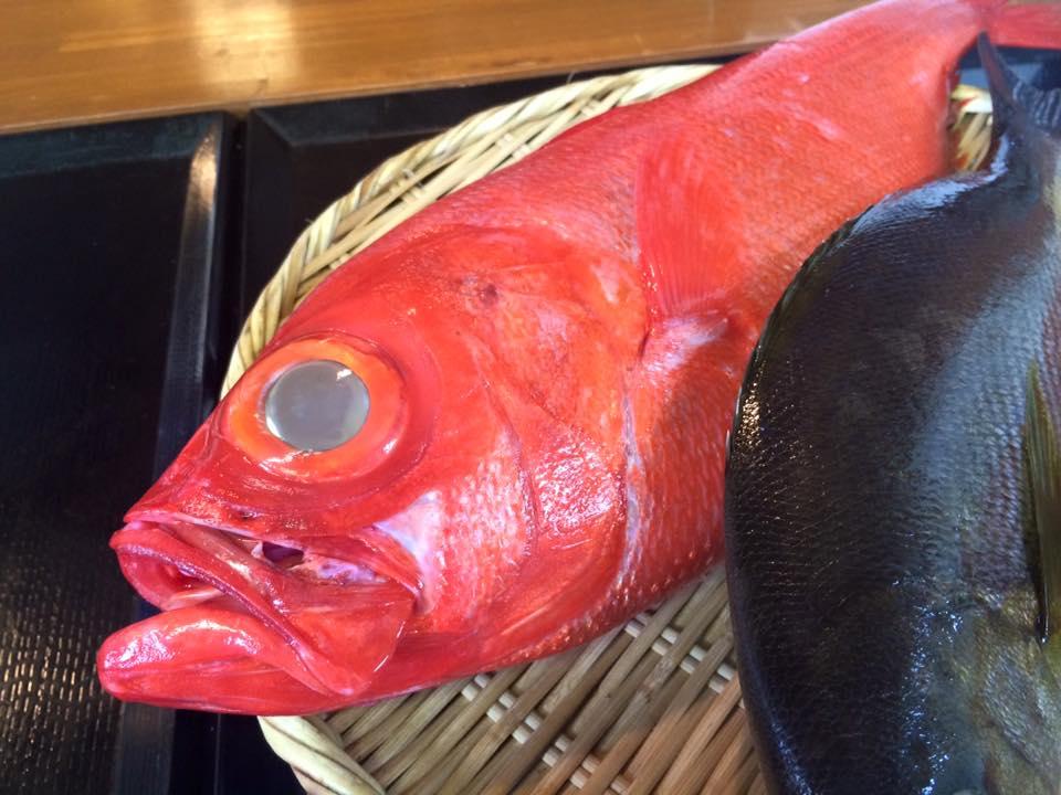 逸海鮨　