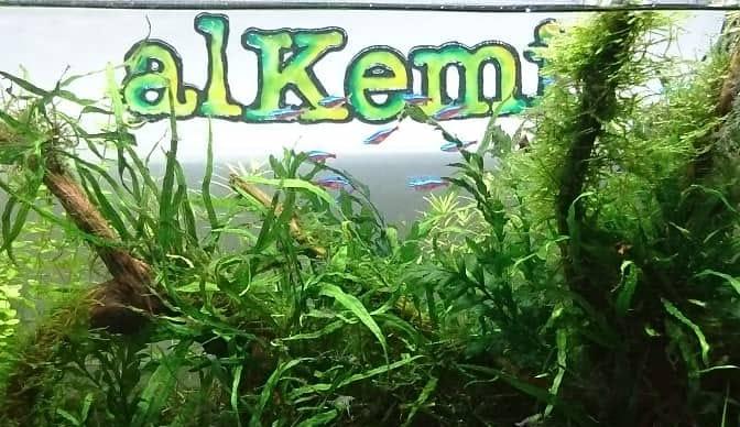 Bar alkemi ～バーアルケミ～