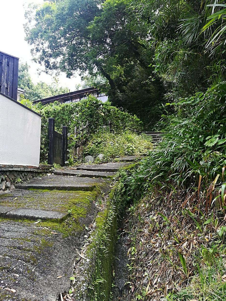 洞