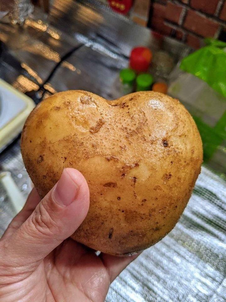 ちいさなカレー屋さん　パプリカ