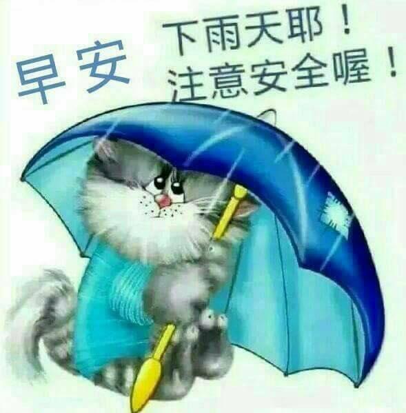 林口丼工坊