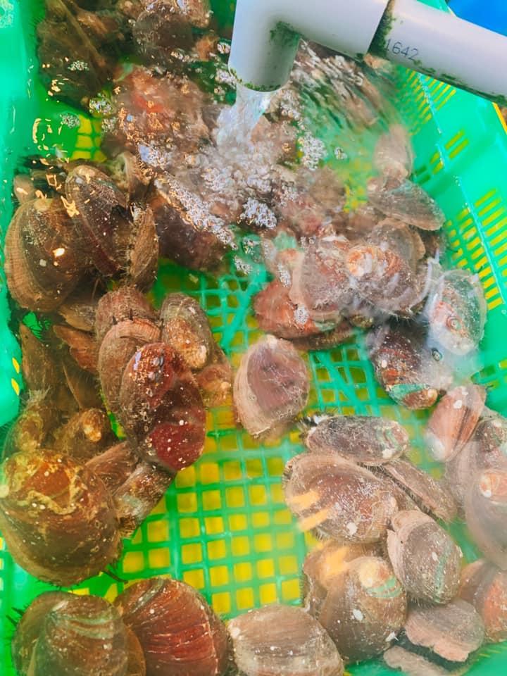社子-味味活海鮮賣場