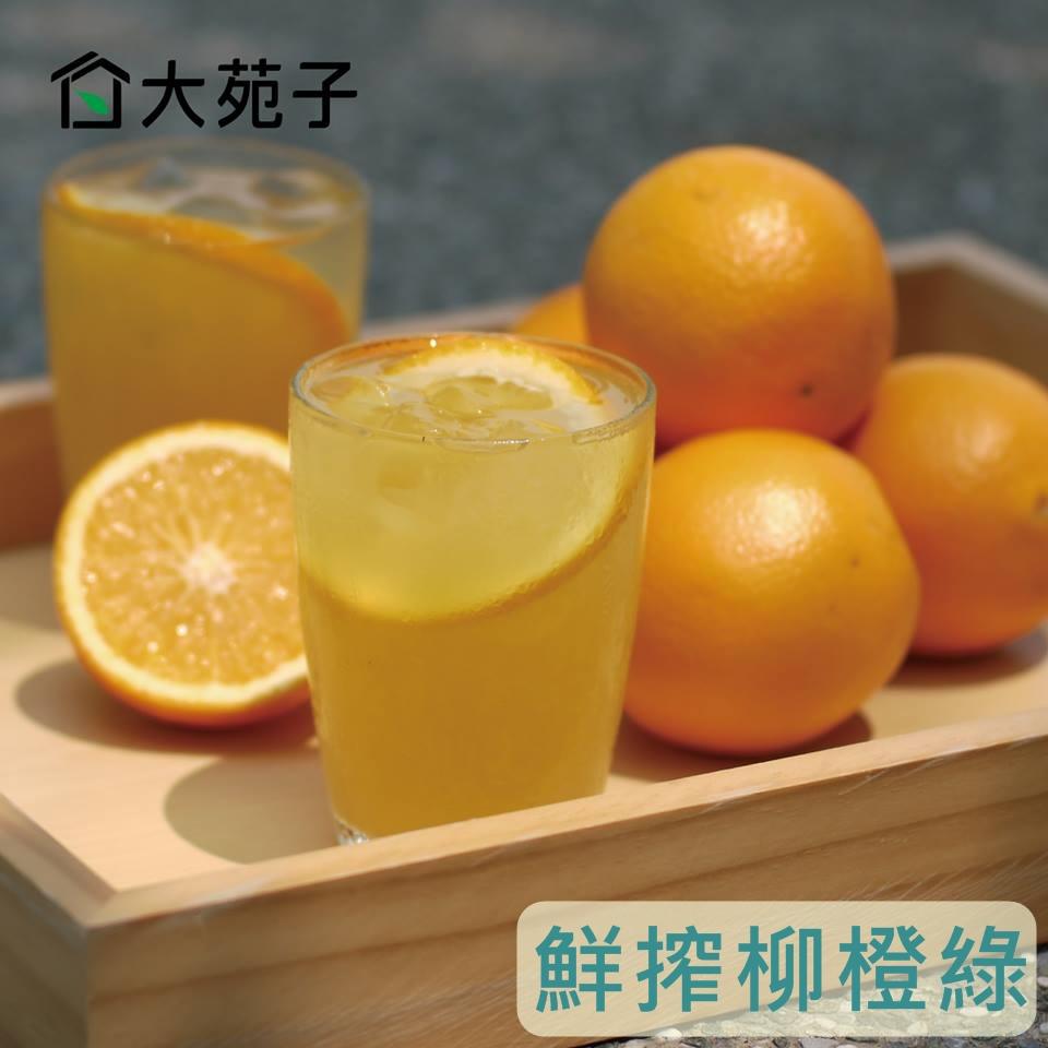 大苑子DaYungs.Tea-安平郡平店