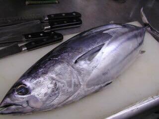 すし処 まさ坊 伊勢崎店