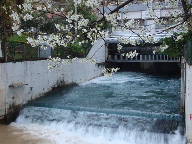 Alfijeh spring restaurant ( abu saeed )