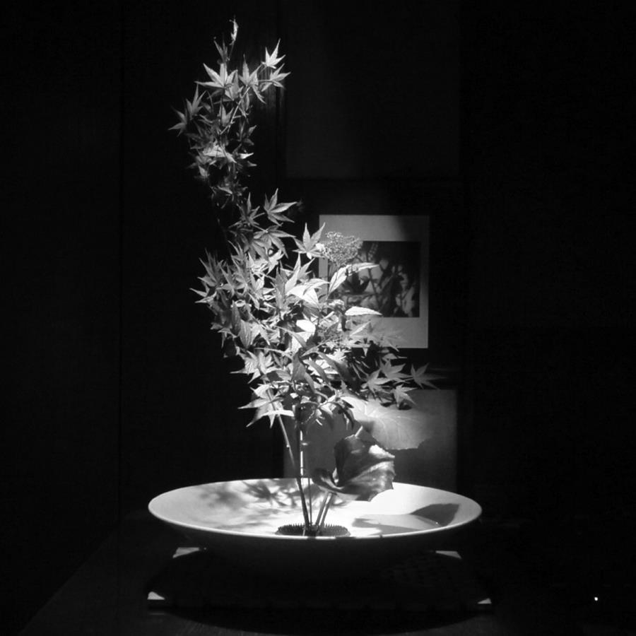 屋上ブルー