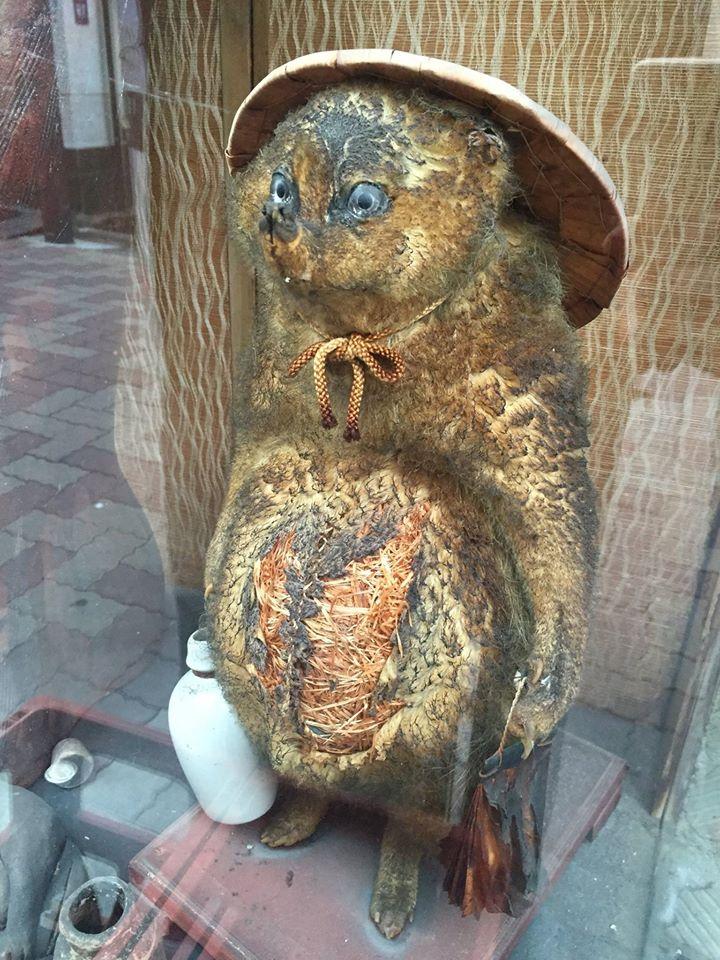 たぬき寿司