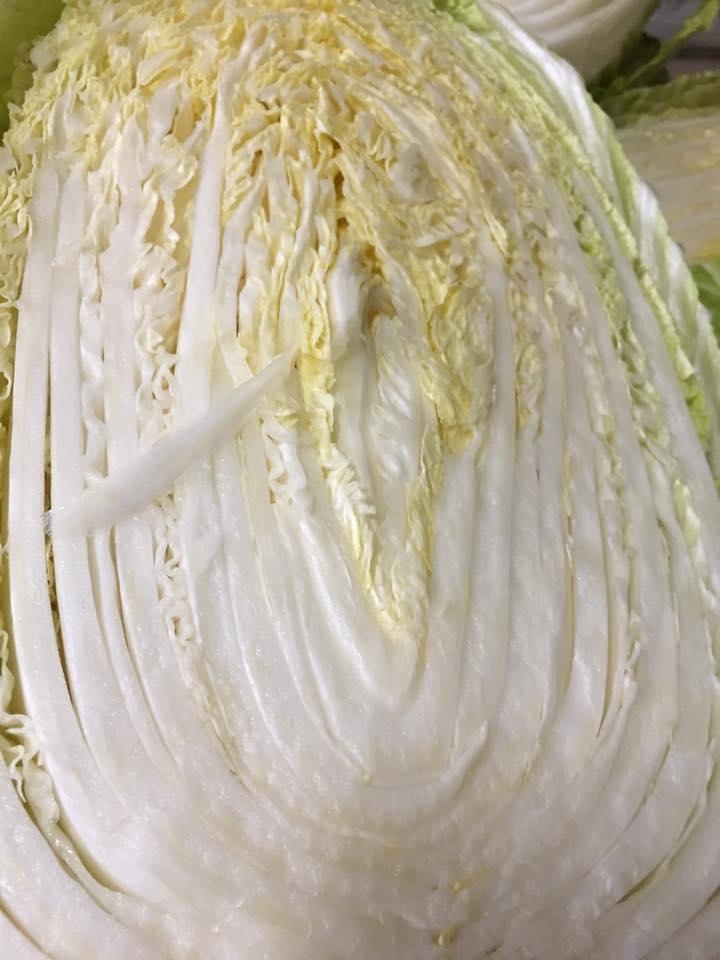 黃金牛牛肉麵