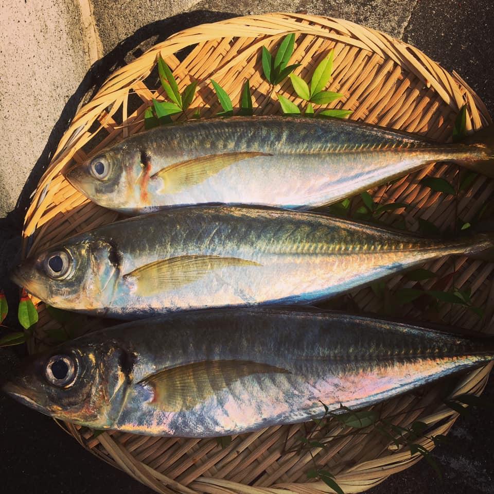 馬堀海岸・いっぷく食堂