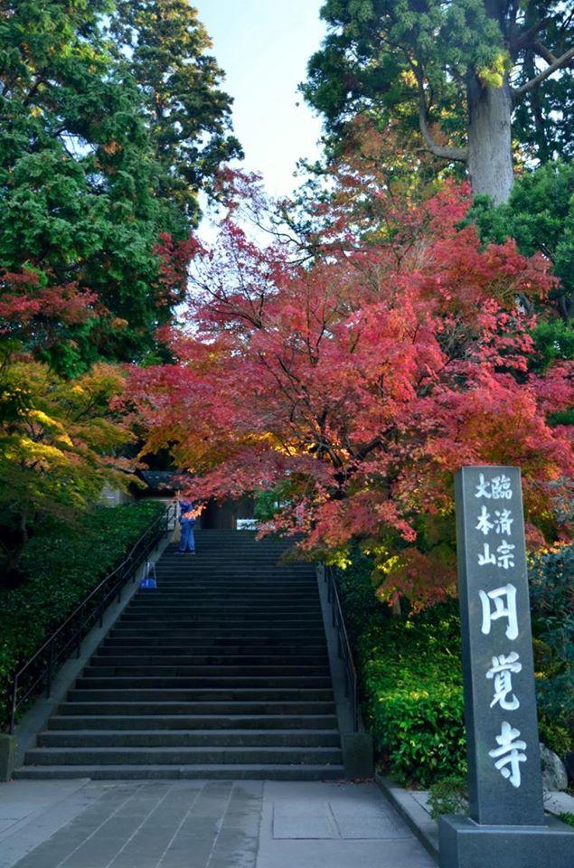 ナンバーワンインターナショナル藤沢