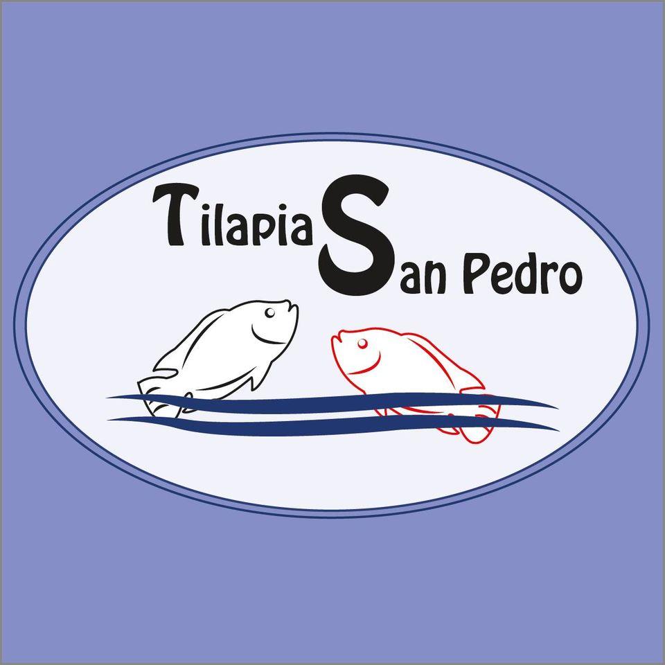 Tilapias San Pedro