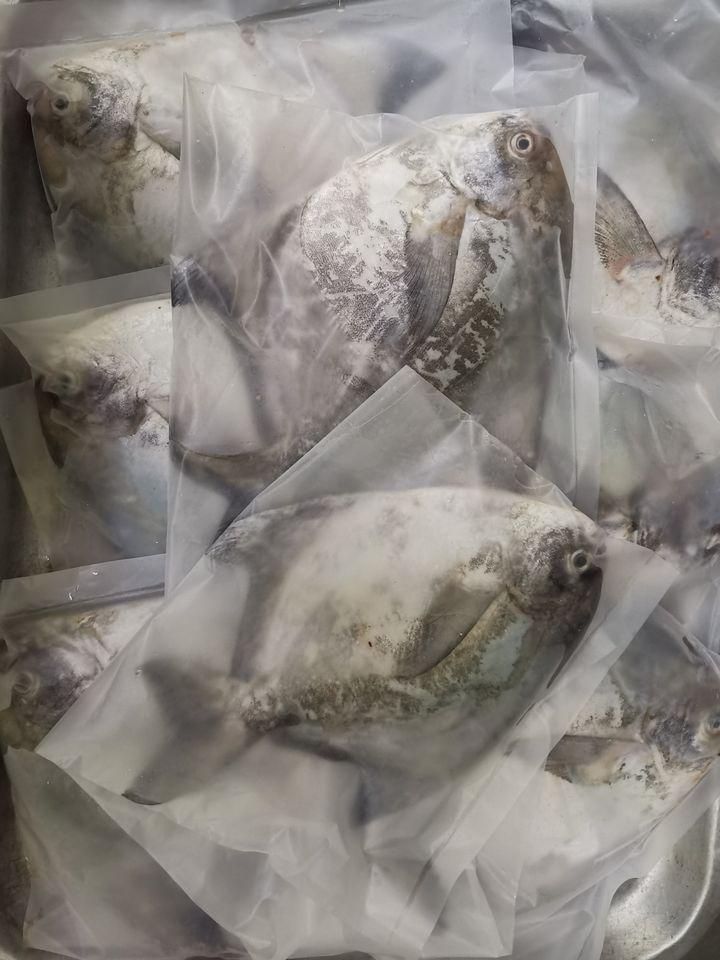 新潮記潮州風味料理