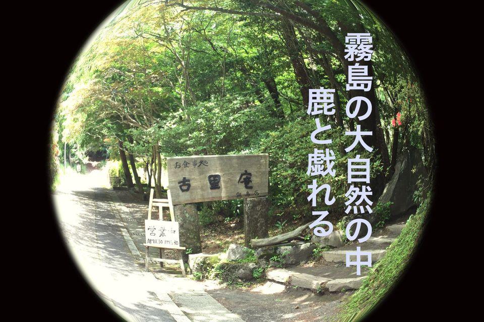 地鶏炭火焼古里庵霧島店