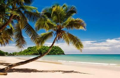 Tropical twist Nuneaton
