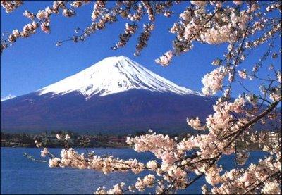 Restaurante izumi
