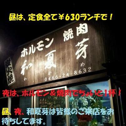 和夏芽