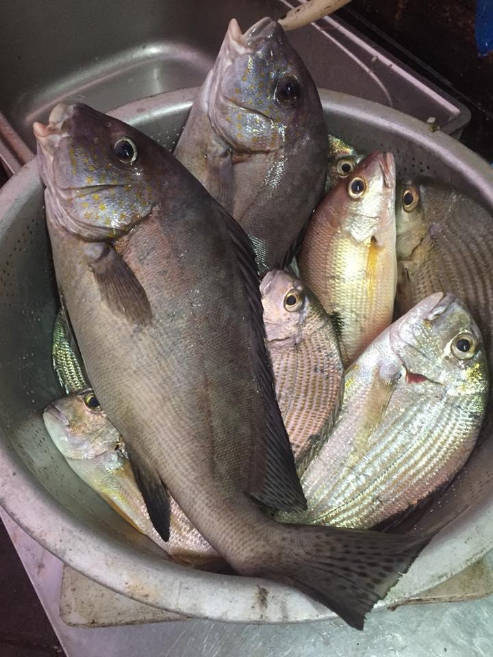 澎湖海鮮·信越水產