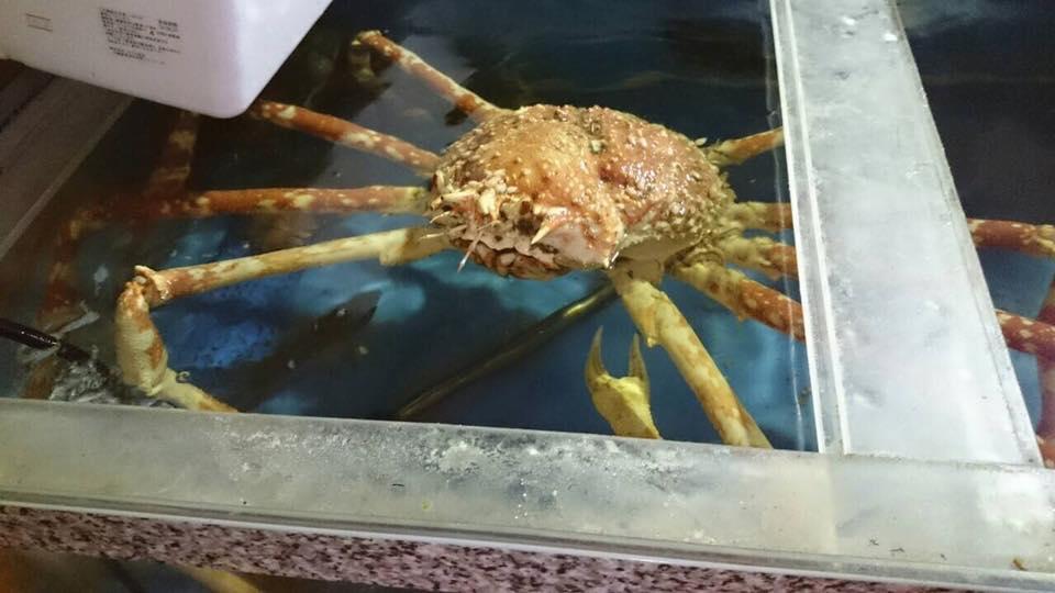 いか食堂
