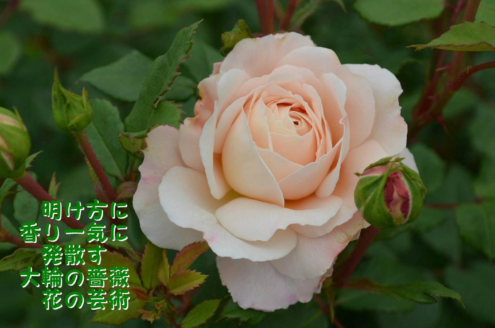 Hana to Midori No Yakata