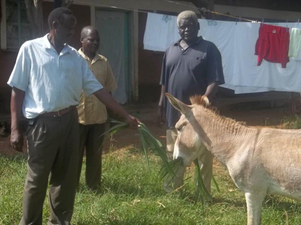Bungoma County