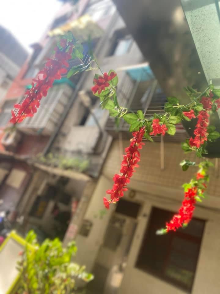 豆豆pasta