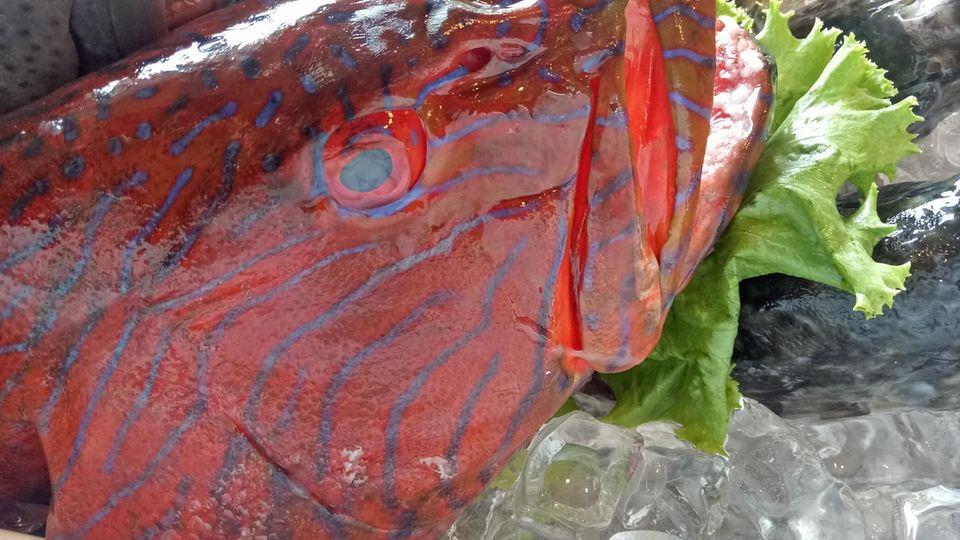 花壇海中天啤酒棧