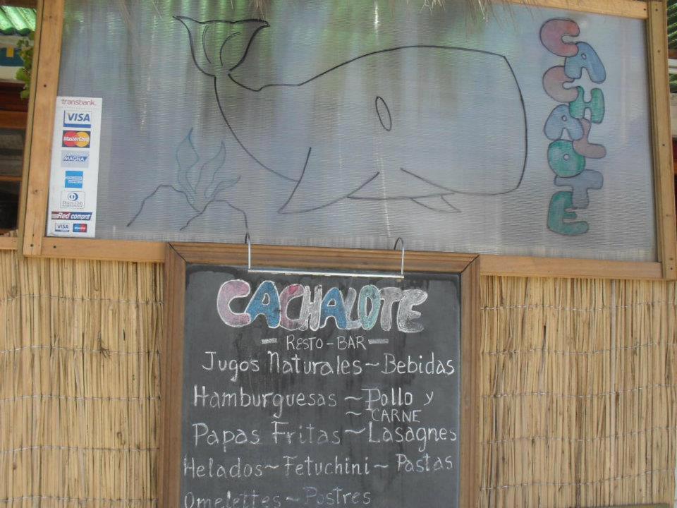 Cachalote