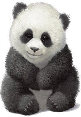 The Pet Panda