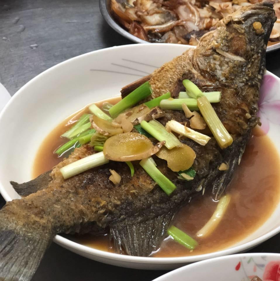 火雞肉飯