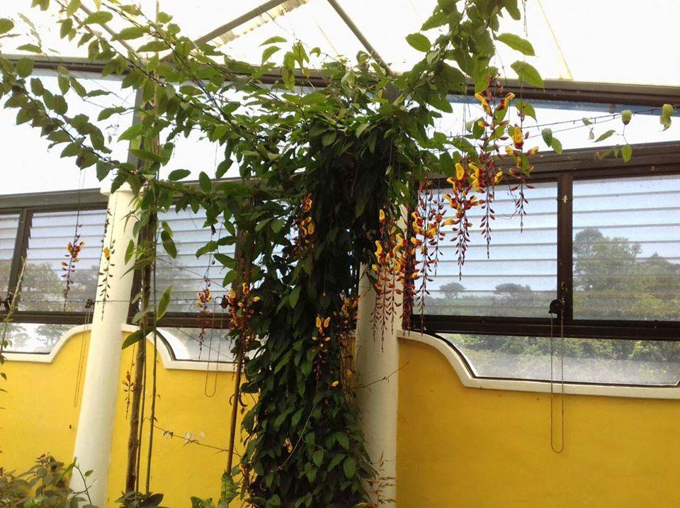 Hotel y Restaurante Eco-Chibulbut