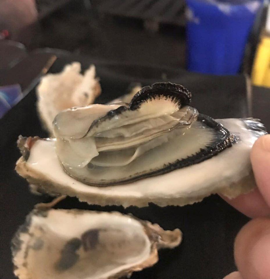 喬Bar炭烤