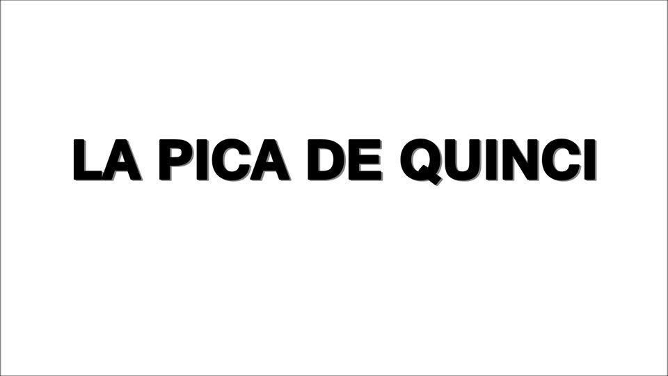 La pica de quincy