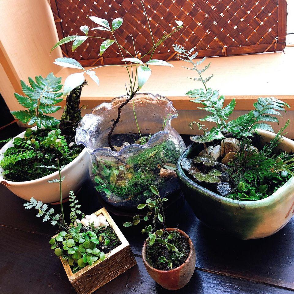 花かまくら児島店