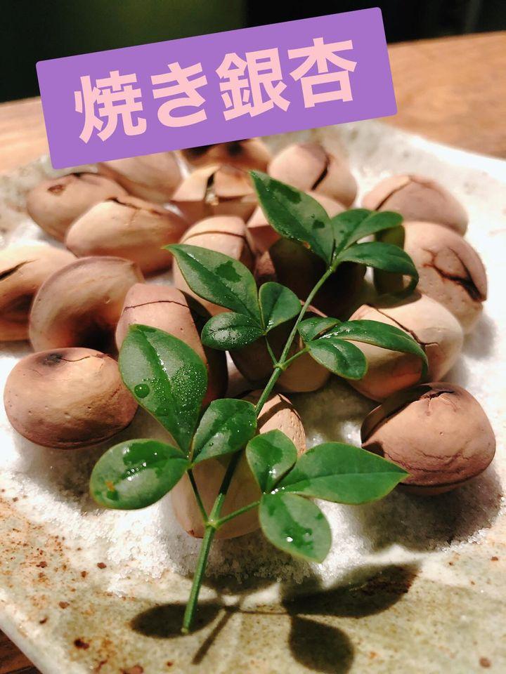 ウメトウグイス