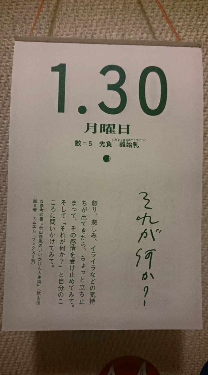中国茶 メイクイ