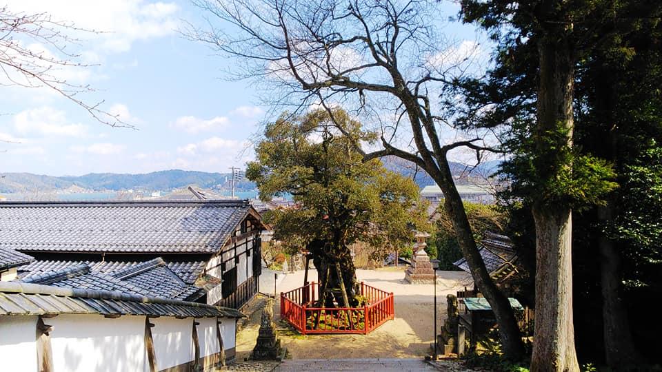 天橋立市場