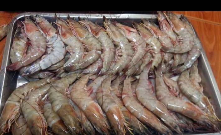 Super ceviches