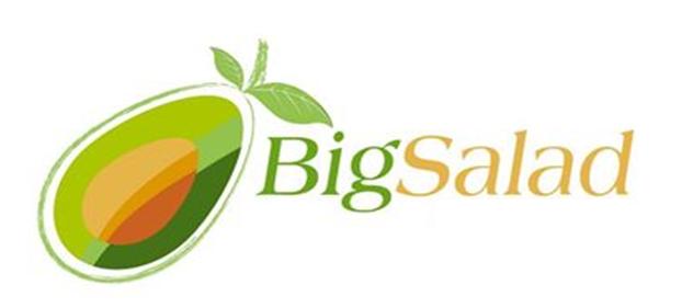 BIG SALAD