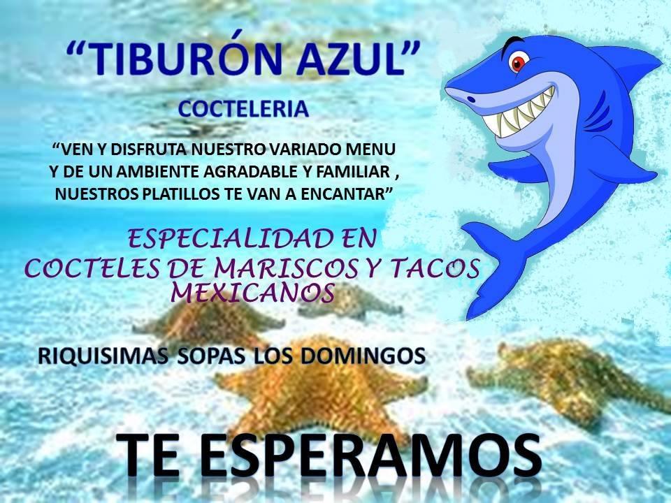 bar tiburon azul