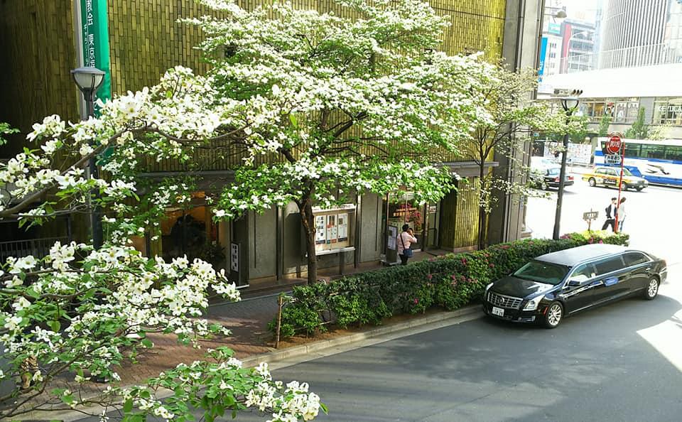 Ginza #A 【ナンバーエー】
