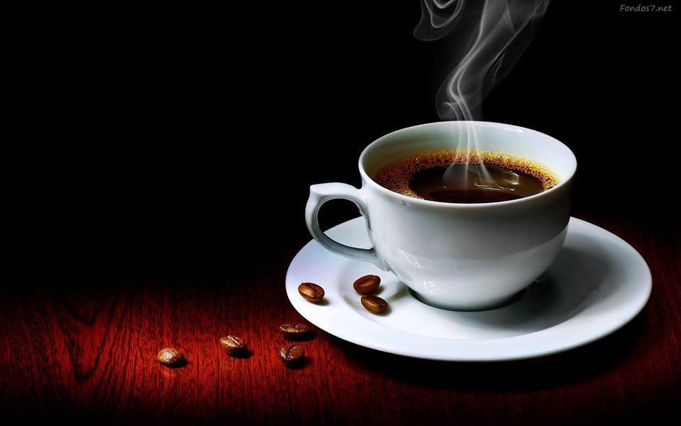 We Are Cafe. Methods and Origins