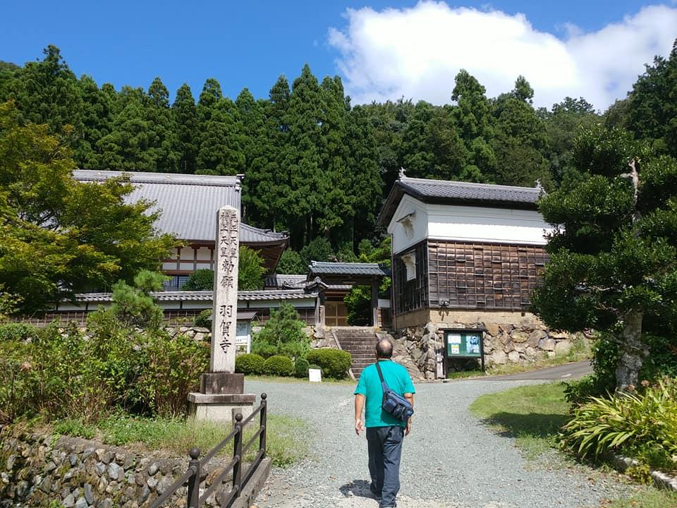 米太