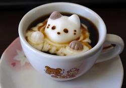 Sassareno's Cat Cafe - Downtown