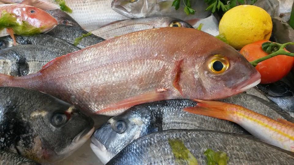 باله للاسماك الطازجه والمشويه