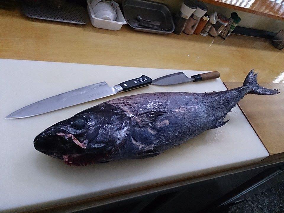 小西料亭
