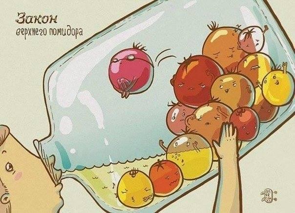 Kinza Ресторан доставки здоровой еды в Астане