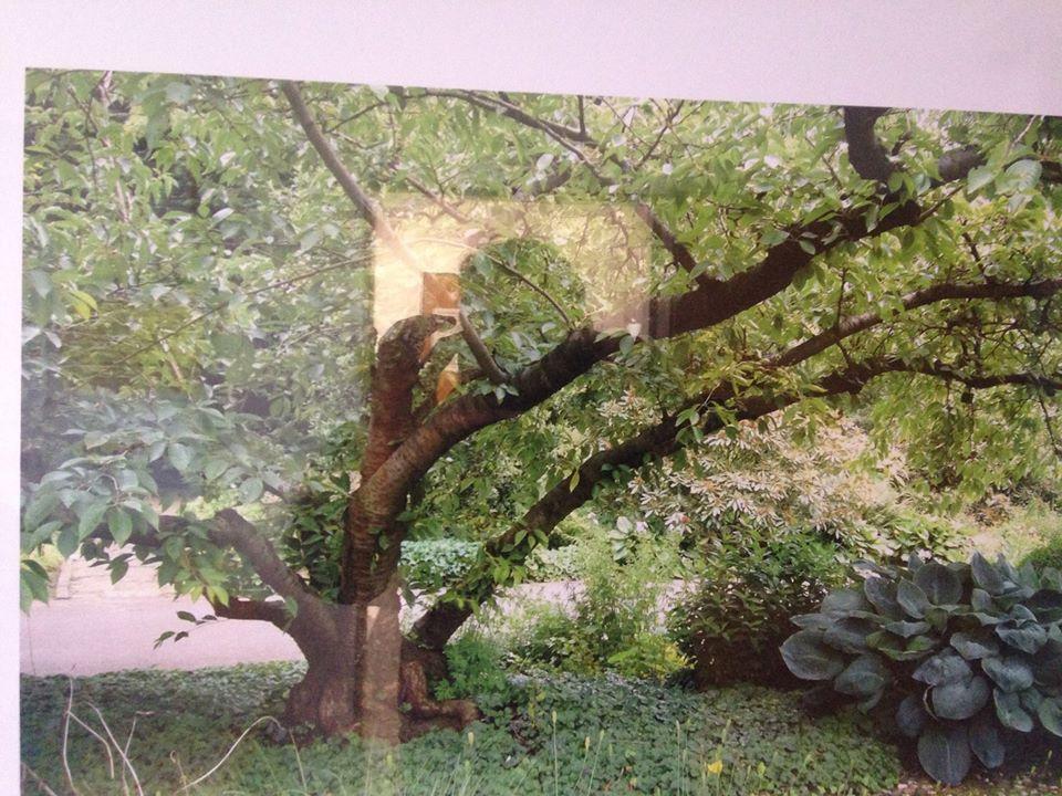 Green village resort