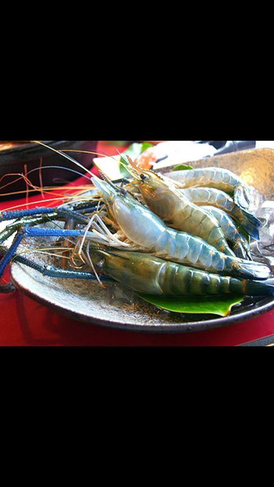 炒東炒西熱炒店 - 熱炒美食，日式料理，活蝦專賣