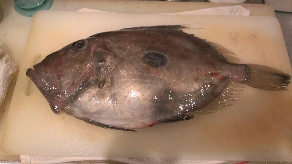 旬鮮料理 ひかる、